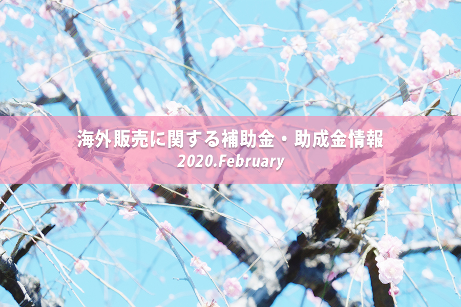 タイトルイメージ画像