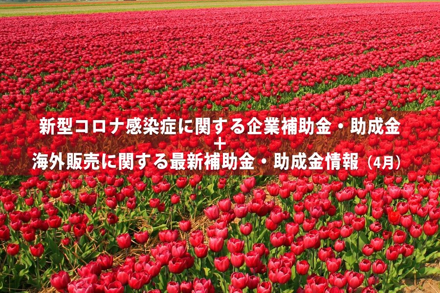 タイトルイメージ画像