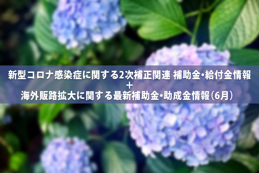 タイトルイメージ画像