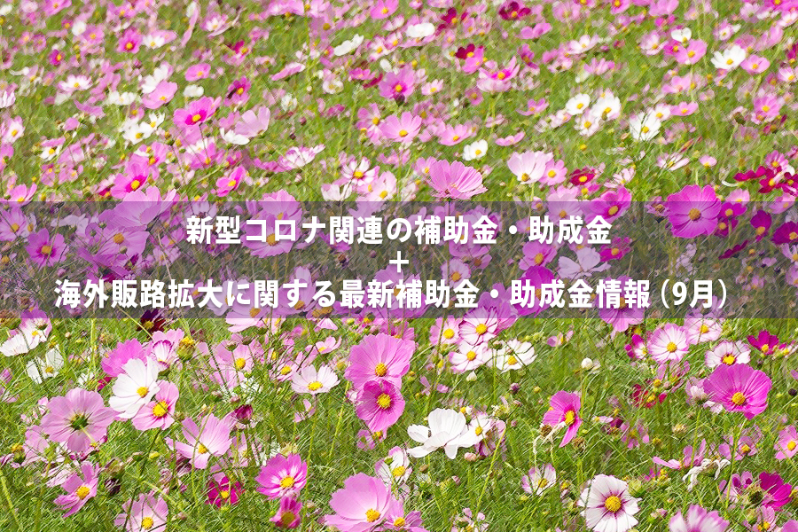 タイトルイメージ