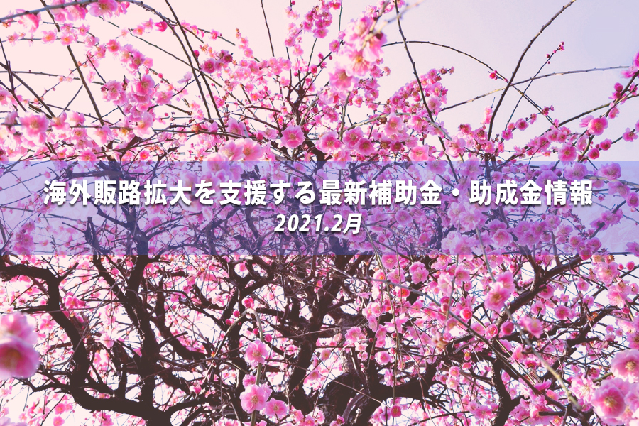 タイトルイメージ画像